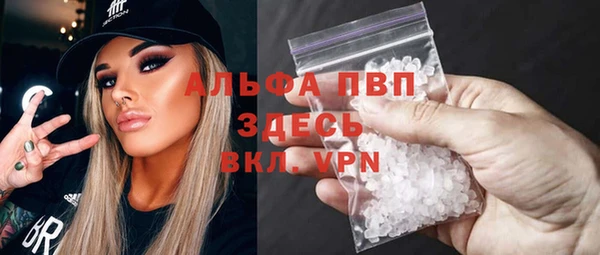 индика Балабаново