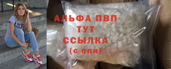 индика Балабаново
