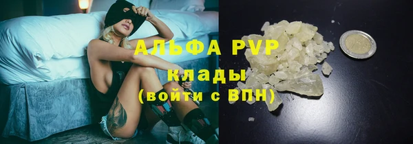 шишки Аркадак