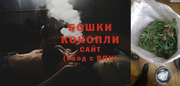 индика Балабаново