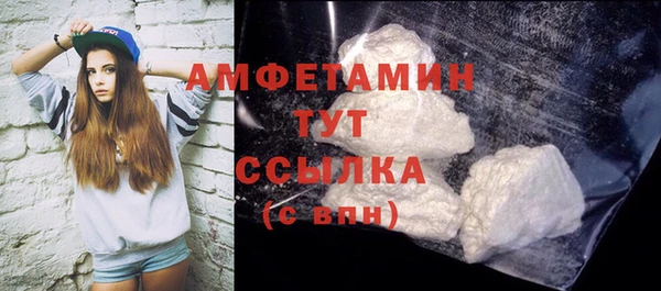 индика Балабаново