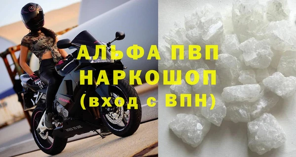 шишки Аркадак