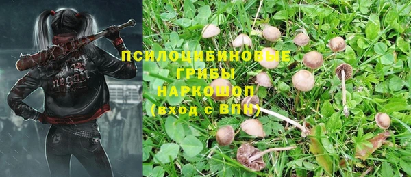 шишки Аркадак