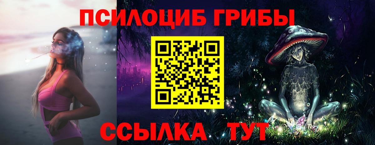 Псилоцибиновые грибы Magic Shrooms Ессентуки