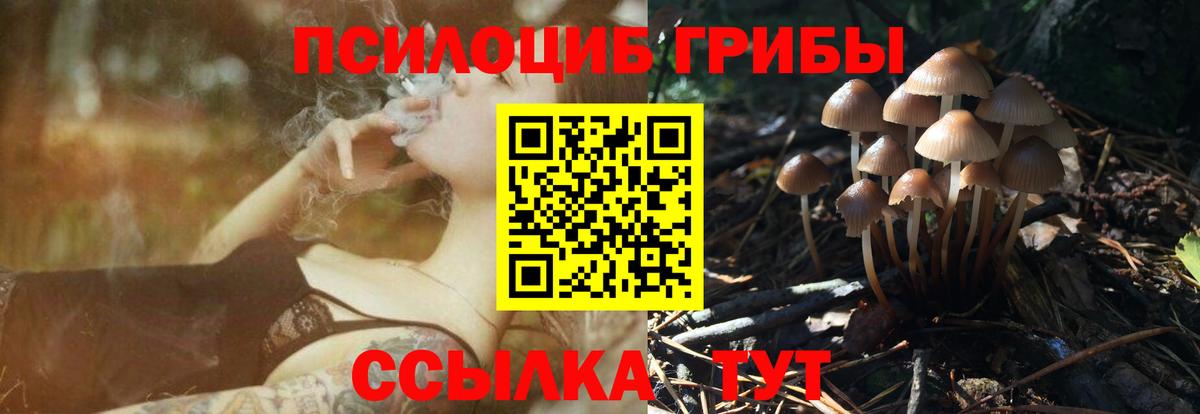 Псилоцибиновые грибы Cubensis  Вход с VPN  Галлюциногенные грибы ЛСД  Ессентуки 