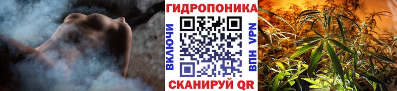 Марихуана OG Kush Ессентуки
